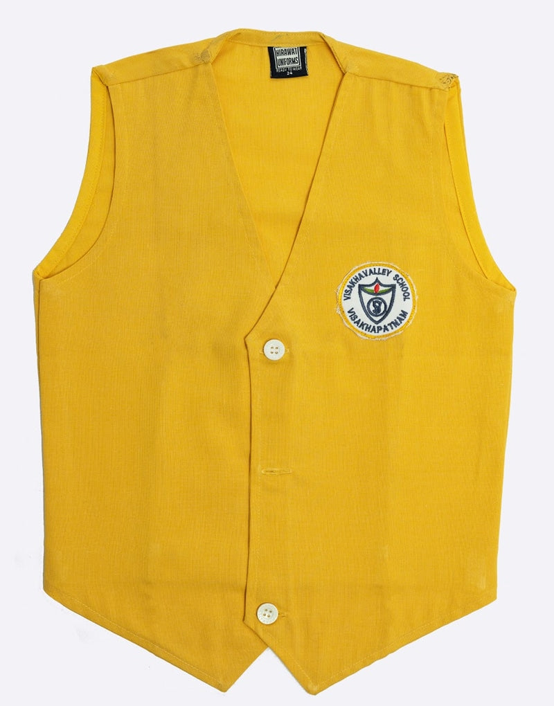 Visakha Valley yellow jacket